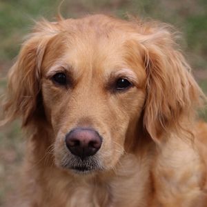 Meet your Posher, Gary